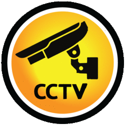 cctv-surveillance-bio-metric-service-250x250